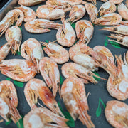 Shrimp-ly the Best