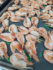 Shrimp-ly the Best